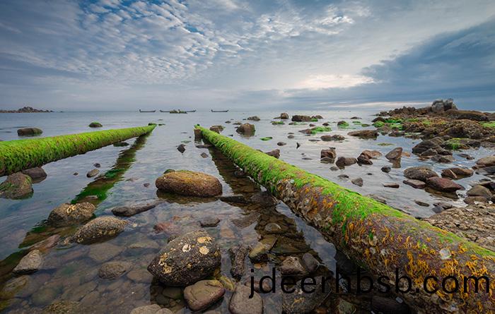 汚(wu)水臭氣(qi)治理(li)